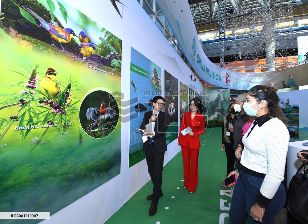 Xinhua Headlines: Landmark deal sets world on path of reversing biodiversity loss