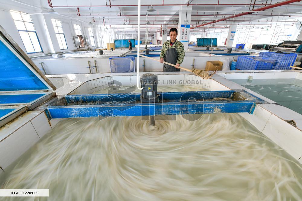 CHINA-GUIZHOU-JINPING-BADMINTON SHUTTLECOCKS (CN)