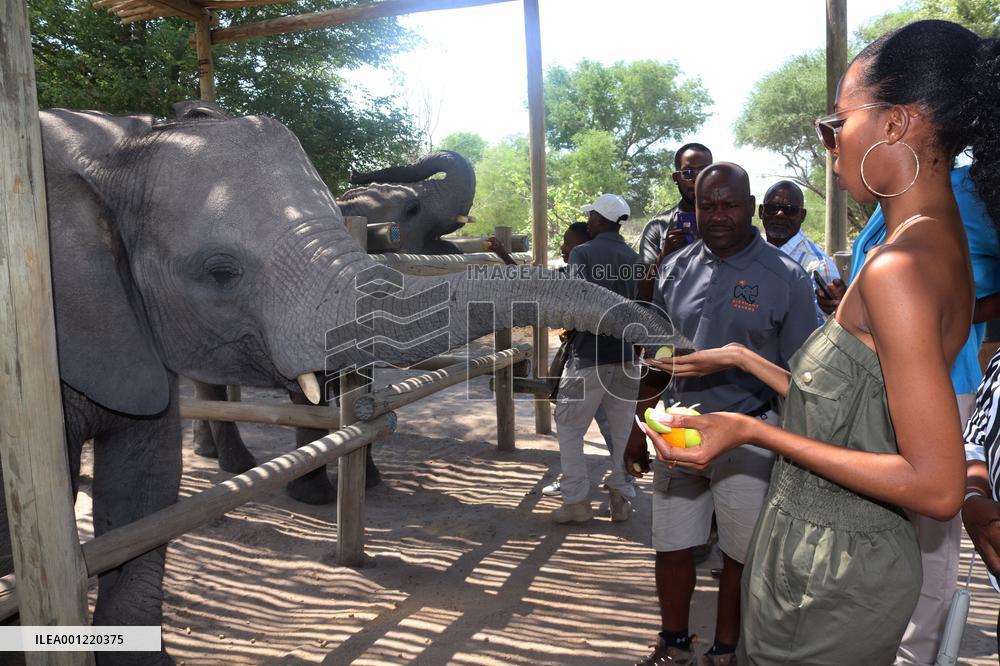 BOTSWANA-MIRAPENE-ORPHANED ELEPHANTS