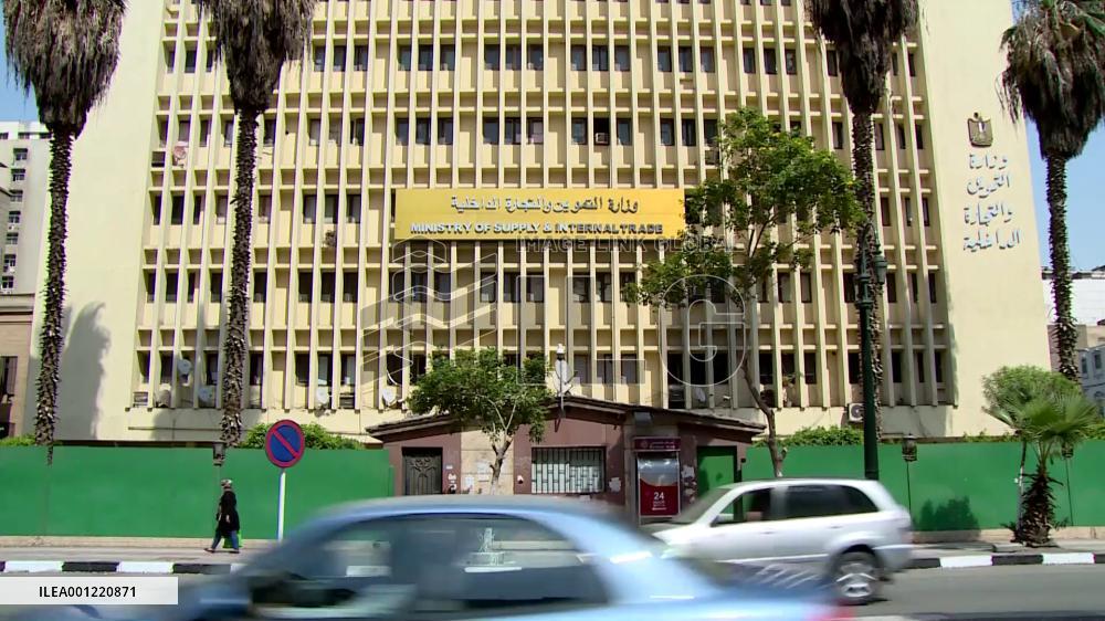 Egypt's supply ministry on rice supply