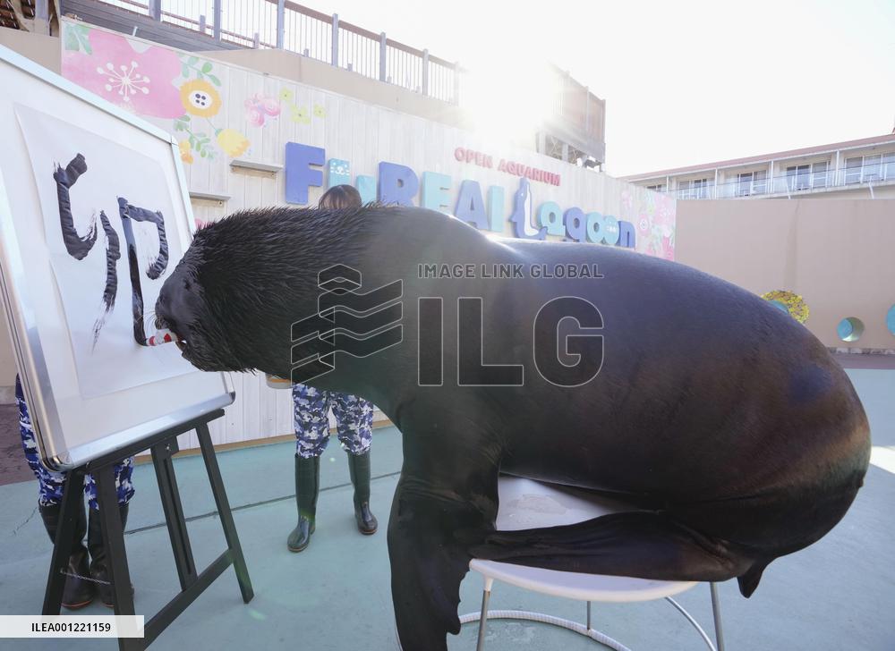 Sea lion writes kanji for new year