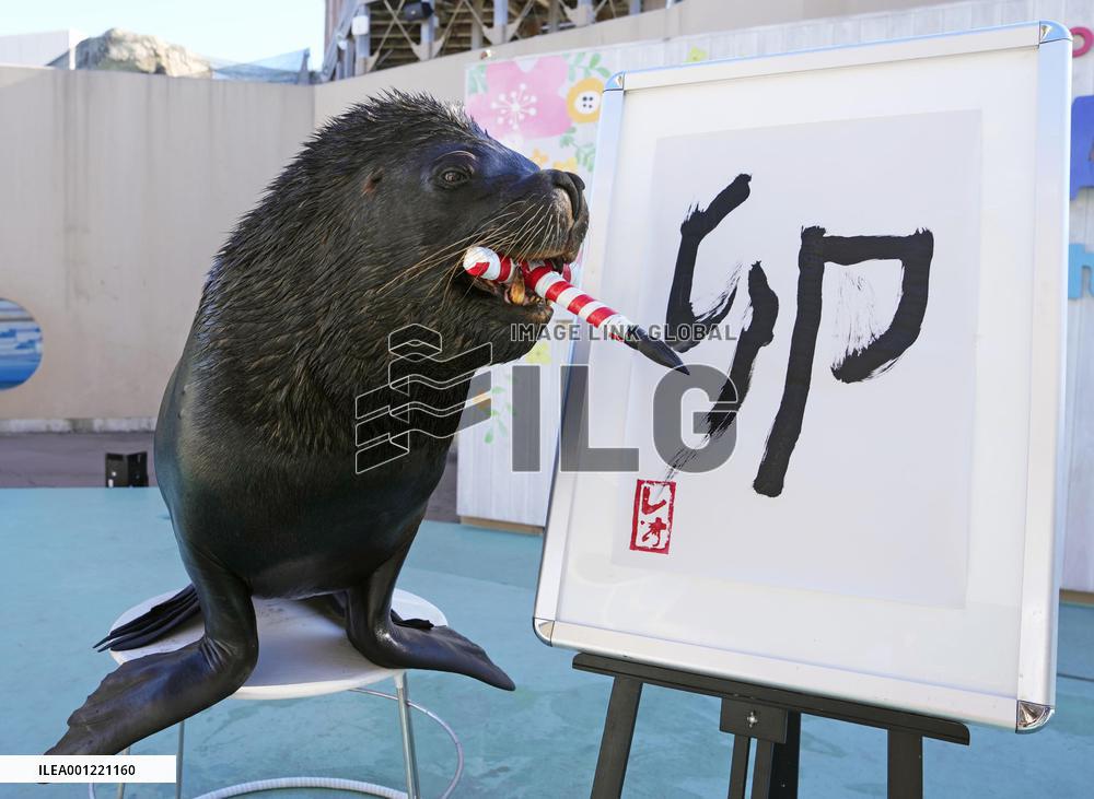 Sea lion writes kanji for new year