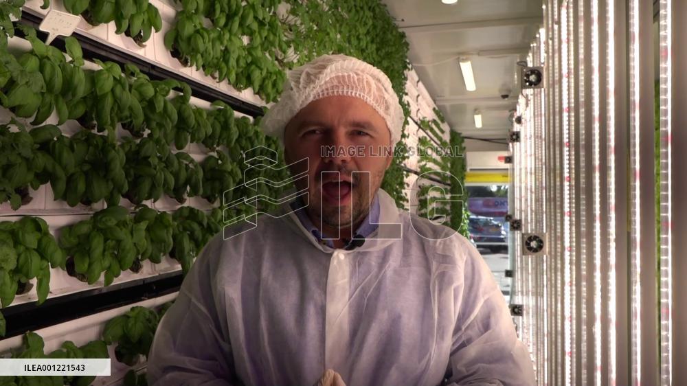 Vertical farms seen in Israel's supermarkets