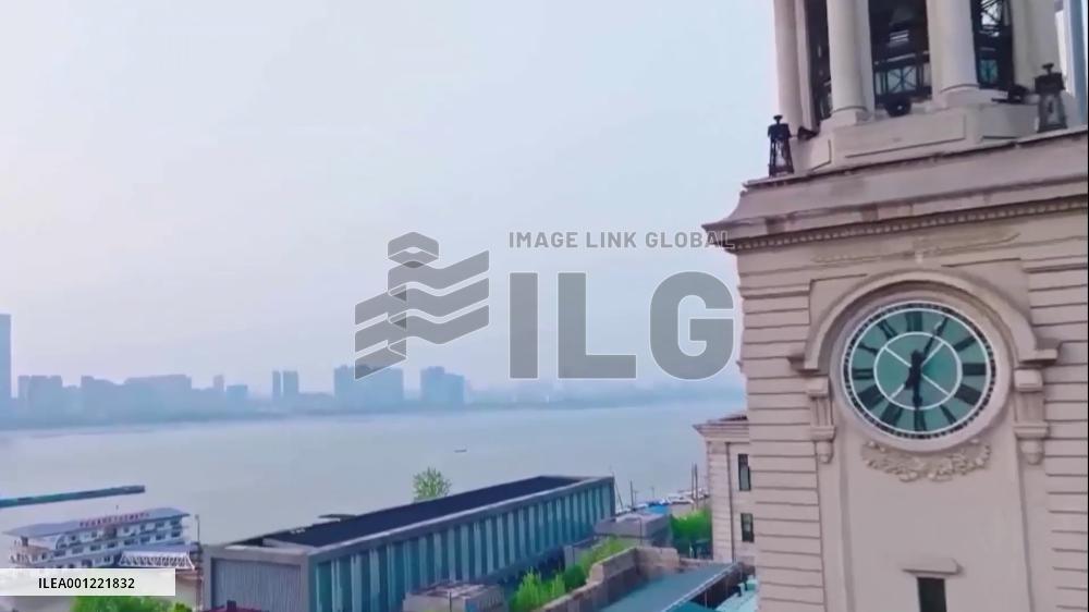 From 1 to 401: more critically endangered wild ducks settle in China's Wuhan