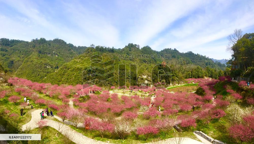 CHINA-HUNAN-VILLAGE TOURISM-RURAL REVITALIZATION (CN)