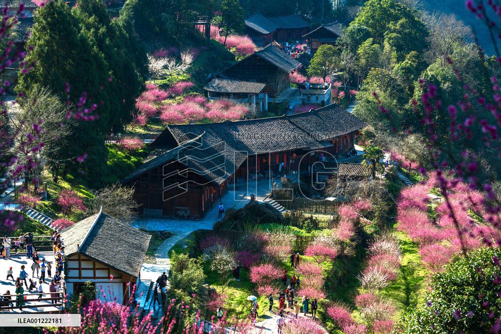 CHINA-HUNAN-VILLAGE TOURISM-RURAL REVITALIZATION (CN)