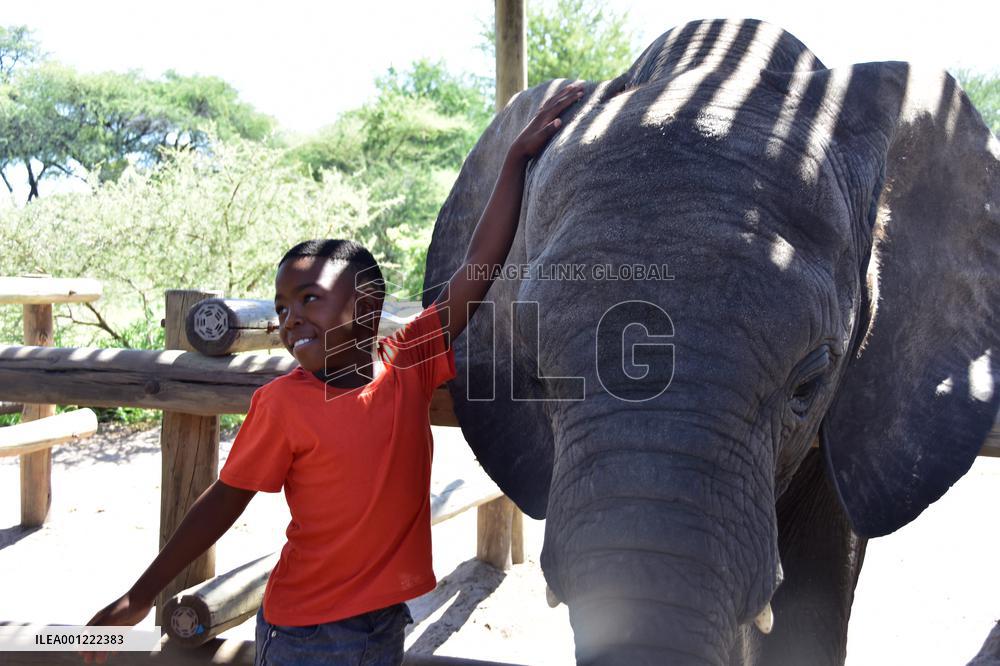 BOTSWANA-MAUN-ELEPHANT-ORPHANAGE