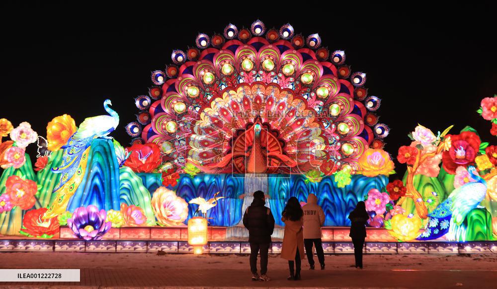 CHINA-LIAONING-SHENYANG-LANTERN SHOW (CN)