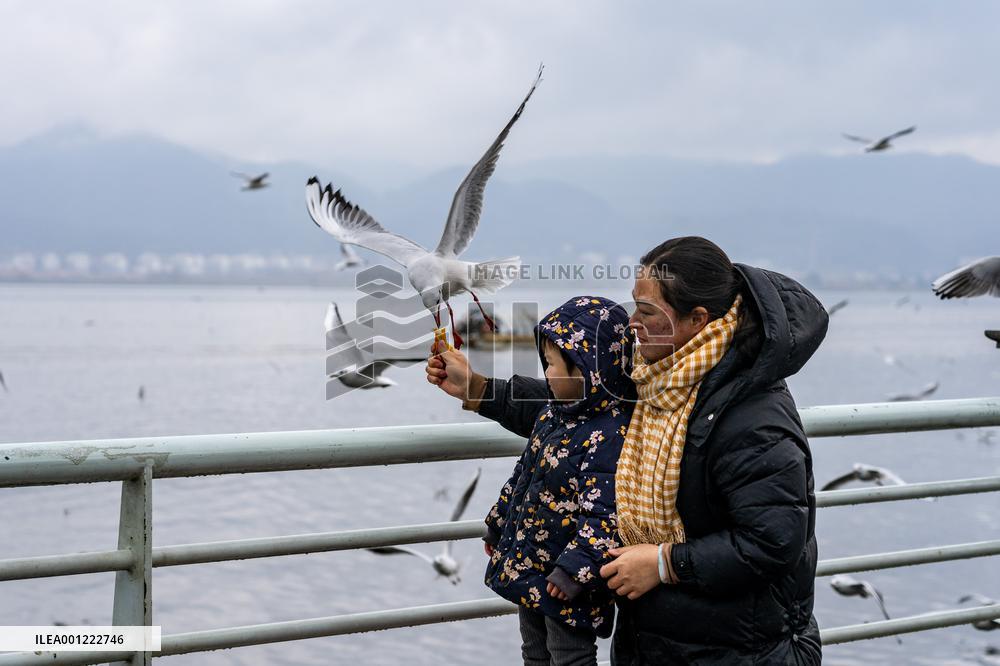 CHINA-NEW YEAR HOLIDAY-CELEBRATION (CN)