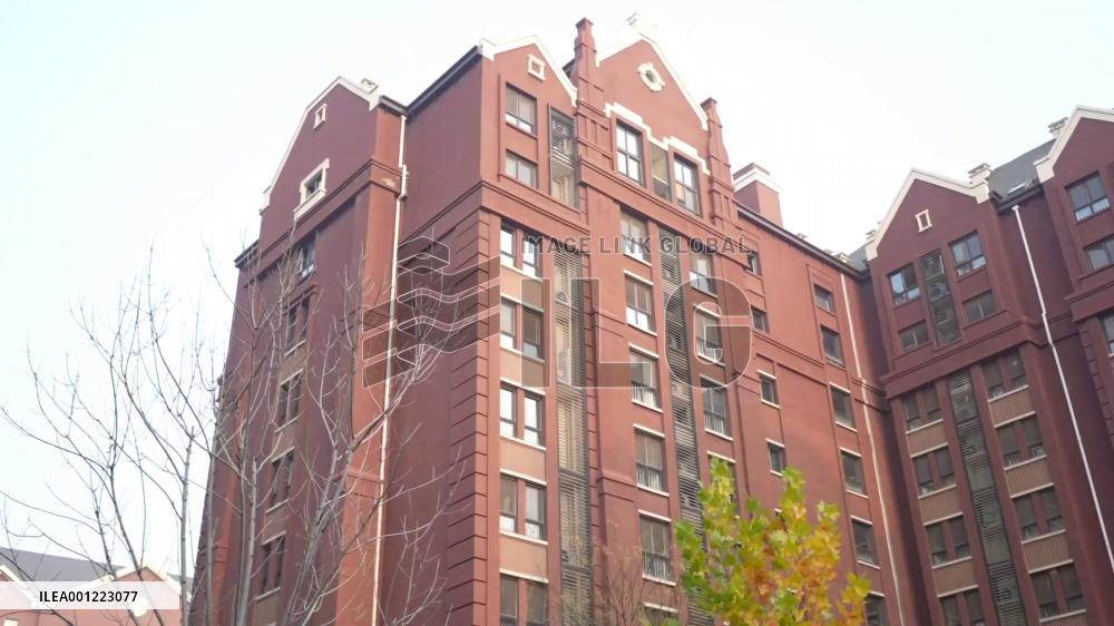 Indian girl inspired by Chinese painting techniques in art creation