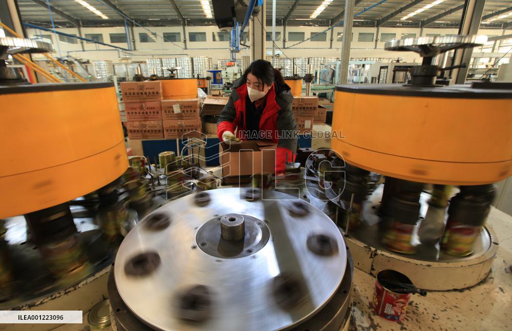 #CHINA-NEW YEAR-WORKING (CN)