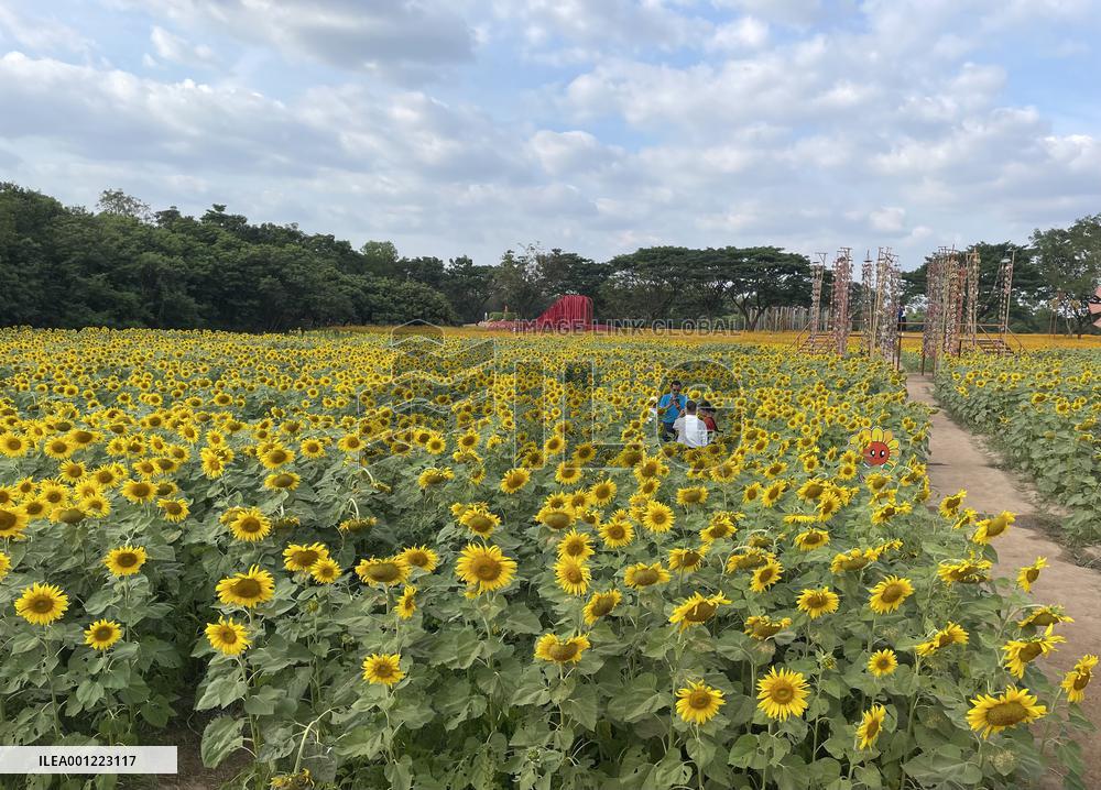 THAILAND-TOURISM-RETURN OF CHINESE TRAVELERS