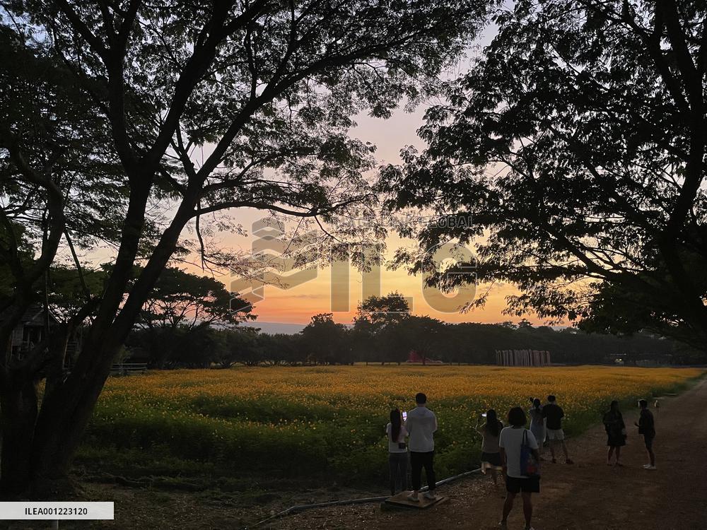 THAILAND-TOURISM-RETURN OF CHINESE TRAVELERS