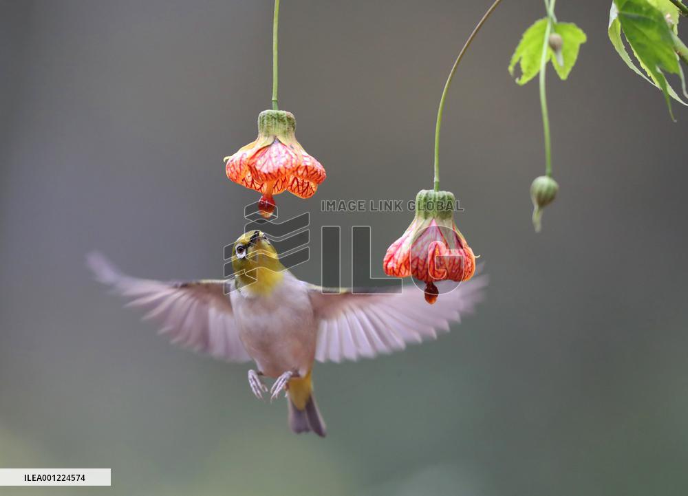 XINHUA-PICTURES OF THE YEAR 2022-CHINA NEWS