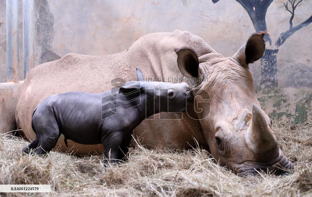 XINHUA-PICTURES OF THE YEAR 2022-CHINA NEWS