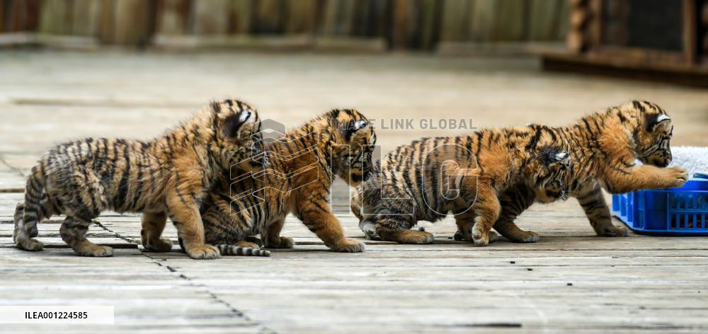XINHUA-PICTURES OF THE YEAR 2022-CHINA NEWS