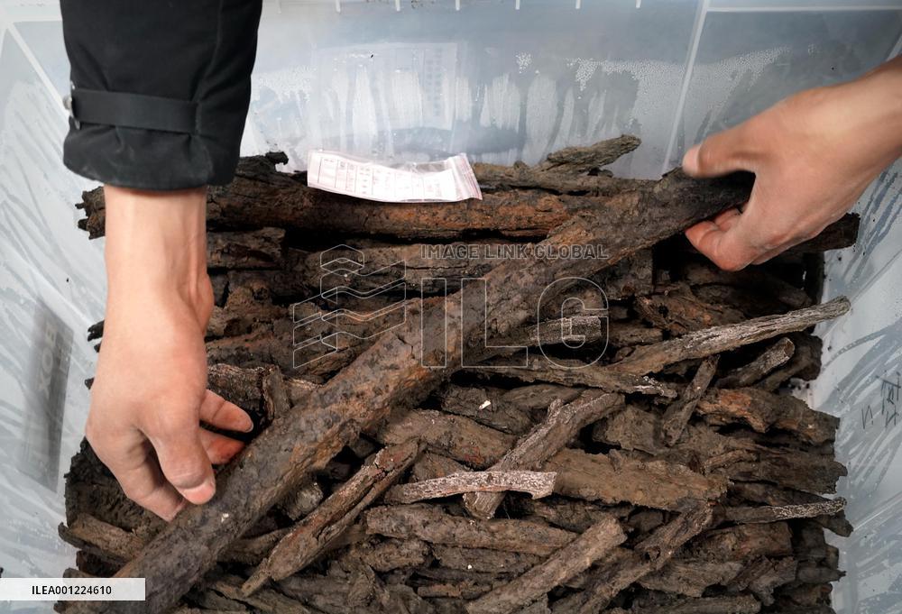 CHINA-HENAN-SHANGQIU-ANCIENT RELICS-BRANCHES (CN)