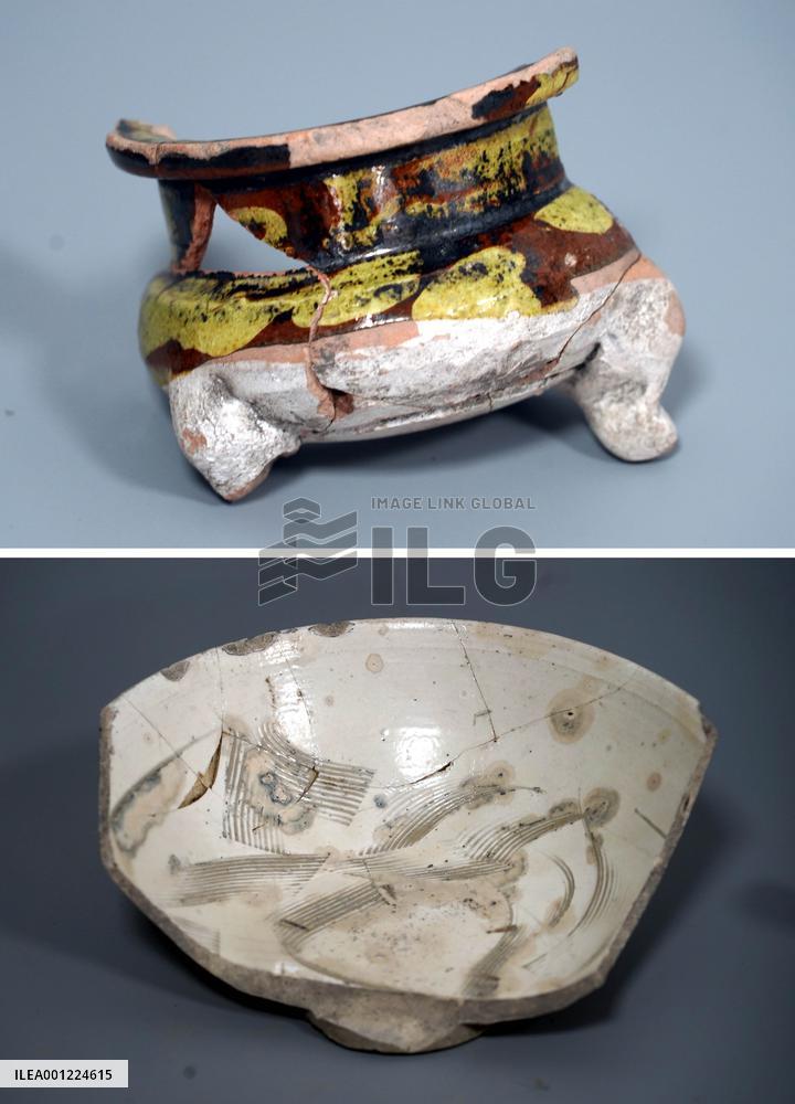 CHINA-HENAN-SHANGQIU-ANCIENT RELICS-BRANCHES (CN)