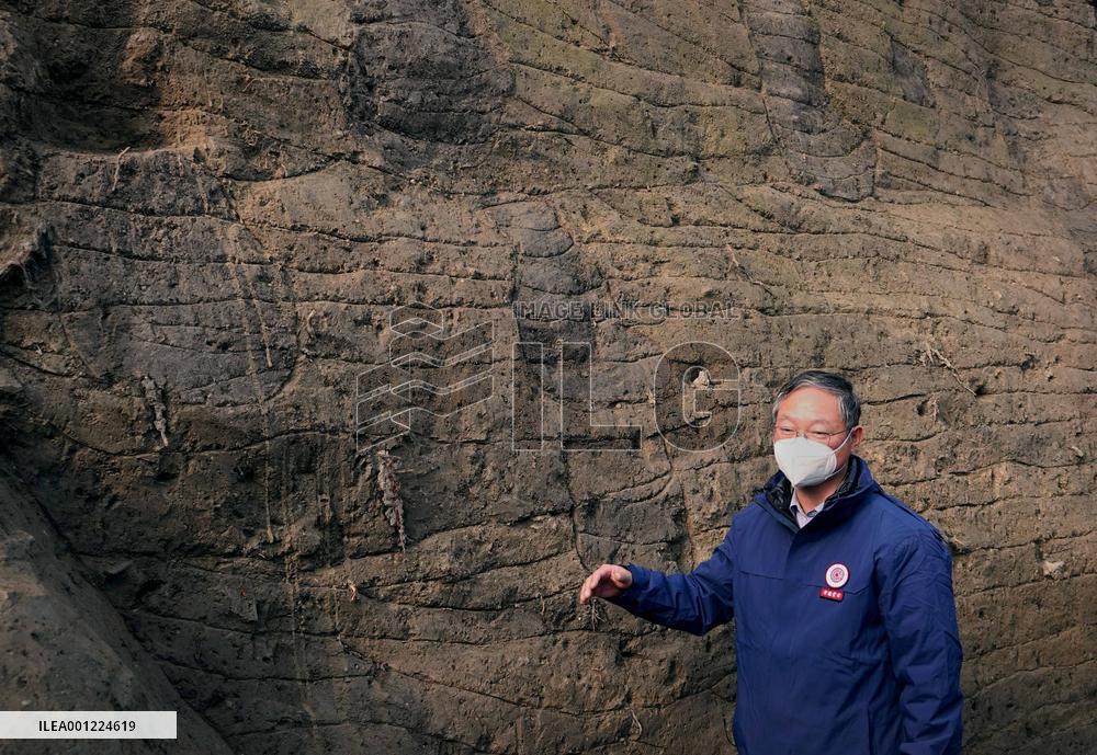 CHINA-HENAN-SHANGQIU-ANCIENT RELICS-BRANCHES (CN)