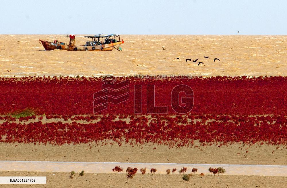 XINHUA-PICTURES OF THE YEAR 2022-CHINA NEWS