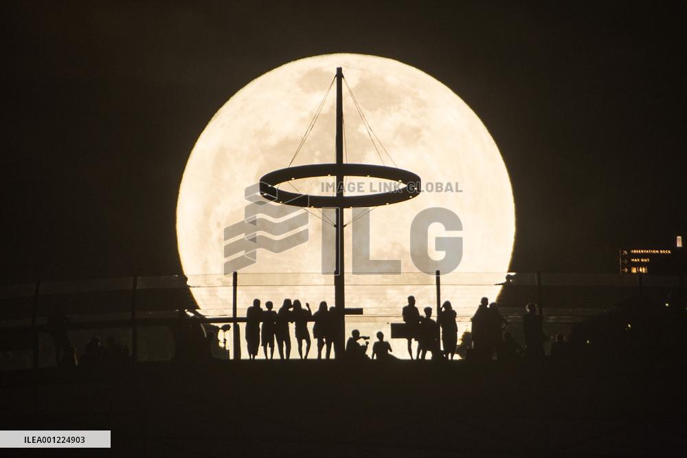 XINHUA-PICTURES OF THE YEAR 2022-WORLD NEWS