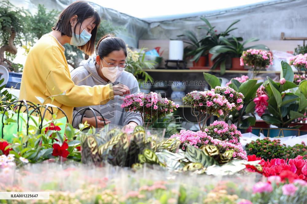#CHINA-SPRING FESTIVAL-PREPARATION (CN)