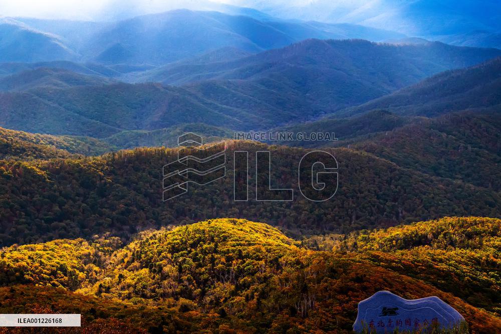Xinhua Headlines: China aims to build world's largest national park system