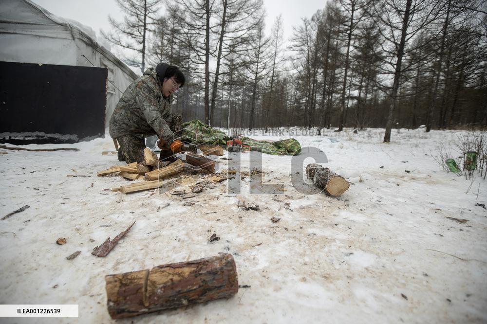 CHINA-INNER MONGOLIA-EWENKI ETHNIC GROUP-REINDEER HERDER-LIFE (CN)