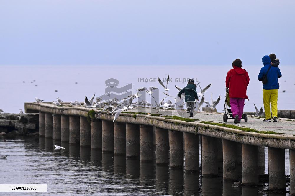 NORTH MACEDONIA-OHRID-BIRDS