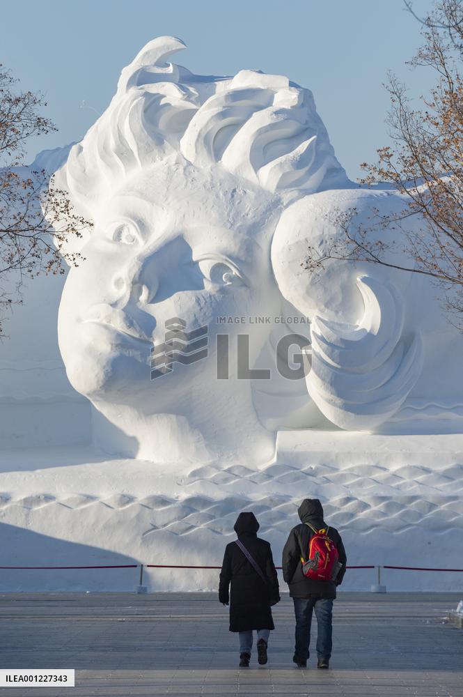 CHINA-HEILONGJIANG-HARBIN-WINTER TOURISM (CN)
