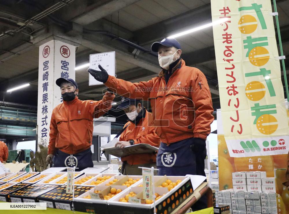 Kumquat auction in Japan