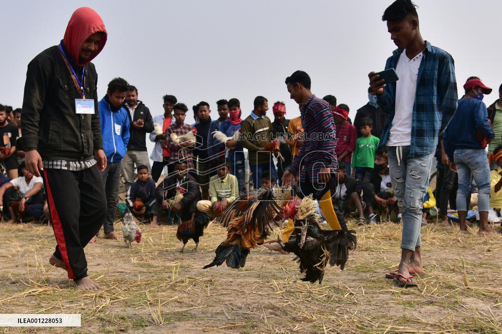INDIA-ASSAM-MORIGAON-COCKFIGHTING
