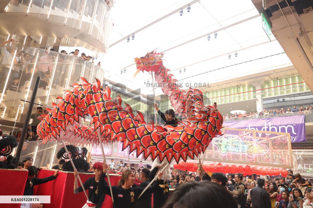 U.S.-TEXAS-LUNAR NEW YEAR-CELEBRATION