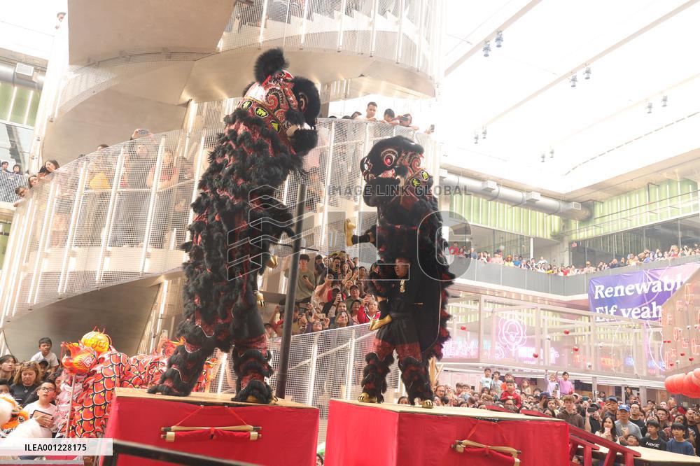 U.S.-TEXAS-LUNAR NEW YEAR-CELEBRATION