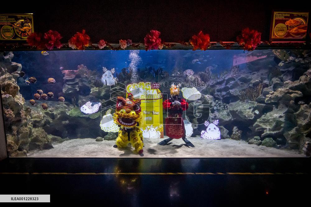 MALAYSIA-KUALA LUMPUR-LUNAR NEW YEAR-UNDERWATER PERFORMANCE