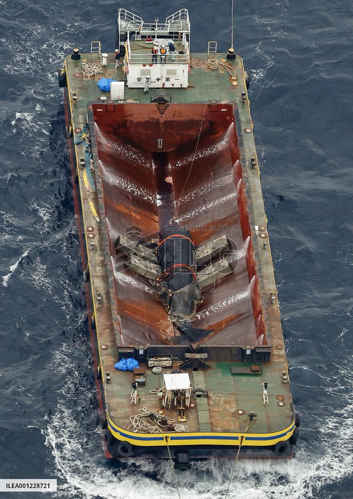 Dead whale in Osaka Bay sunk offshore