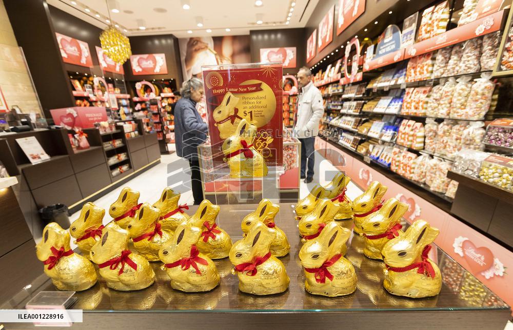 CANADA-TORONTO-CHINESE LUNAR NEW YEAR-DECORATIONS