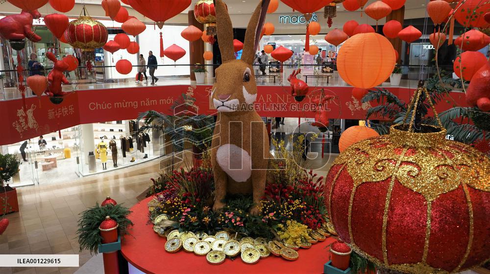 U.S.-CALIFORNIA-ORANGE COUNTY-SHOPPING MALL-LUNAR NEW YEAR-DECORATIONS