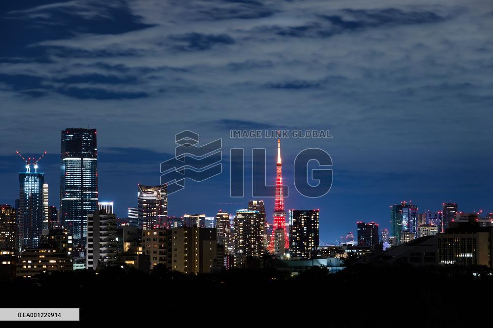 JAPAN-TOKYO TOWER-CHINESE NEW YEAR-ILLUMINATION