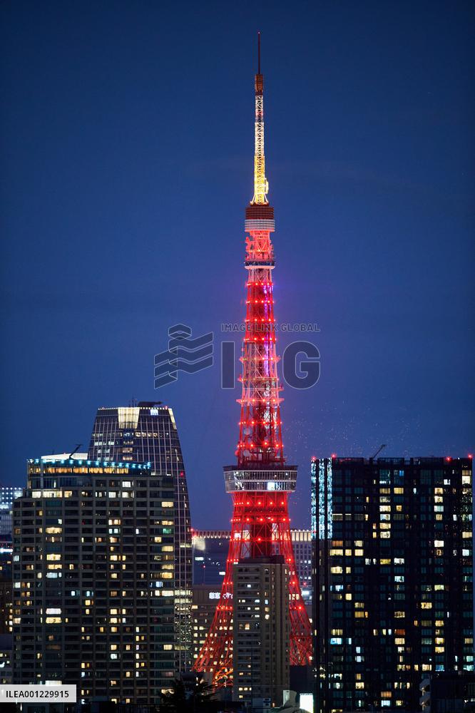 JAPAN-TOKYO TOWER-CHINESE NEW YEAR-ILLUMINATION
