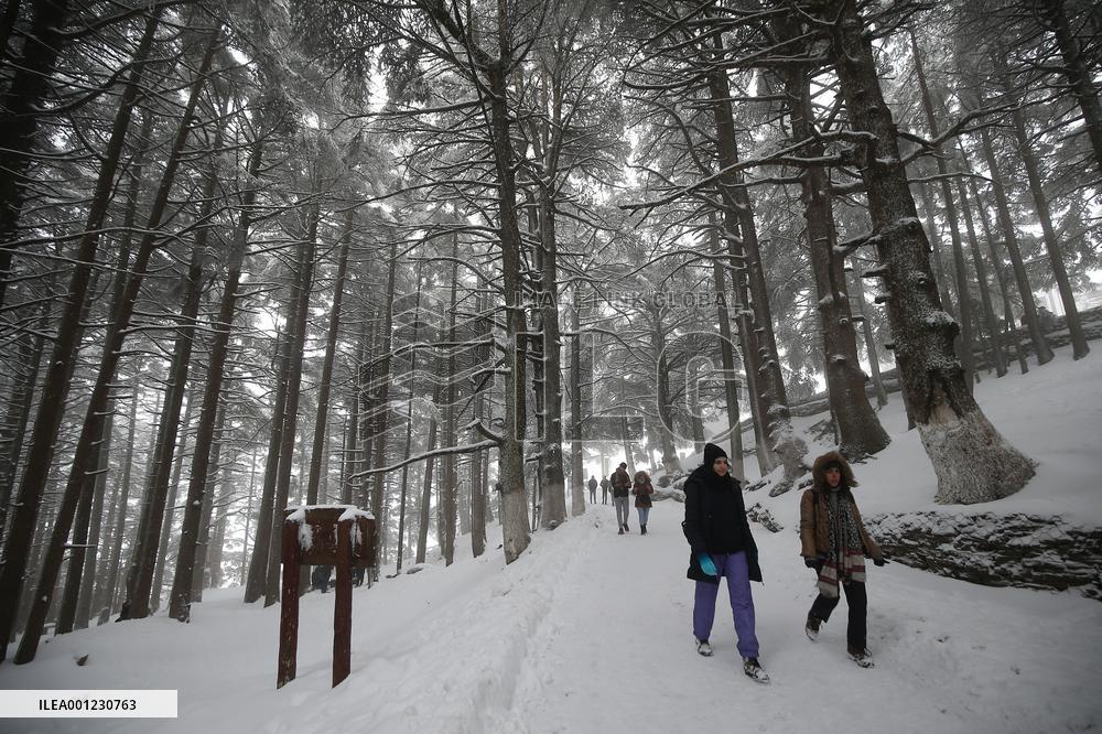 ALGERIA-BLIDA-SNOW-LEISURE