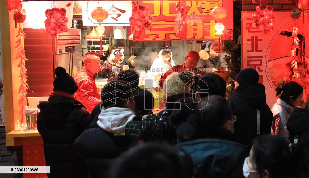 CHINA-LIAONING-SHENYANG-SPRING FESTIVAL-FAIR (CN)