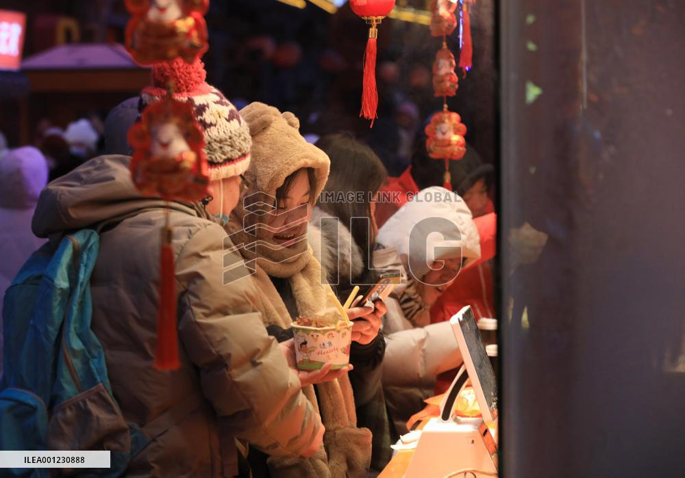 CHINA-LIAONING-SHENYANG-SPRING FESTIVAL-FAIR (CN)