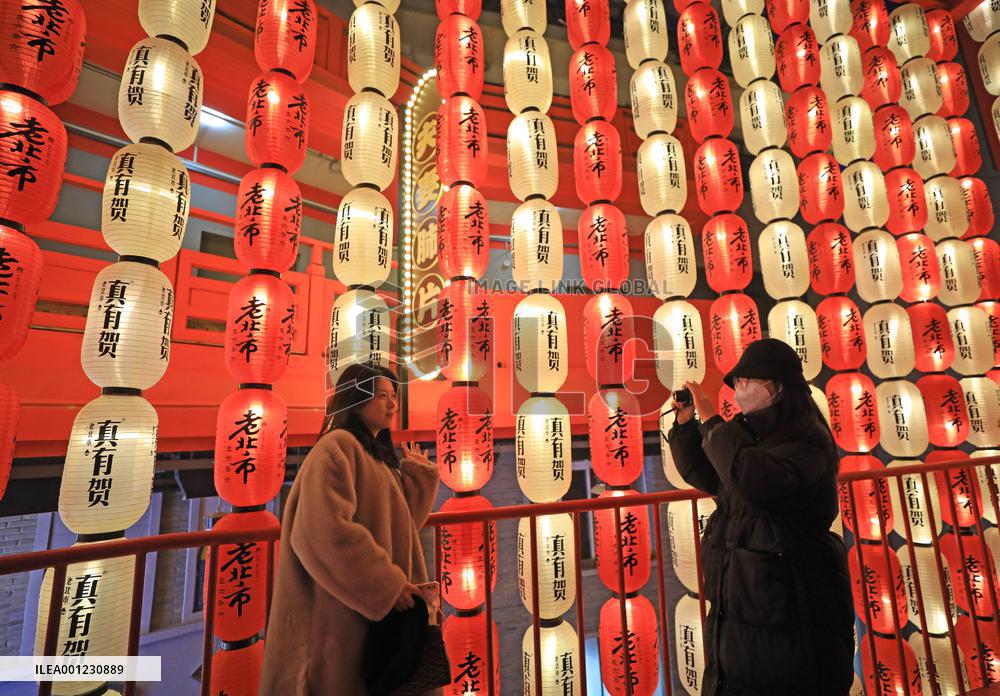 CHINA-LIAONING-SHENYANG-SPRING FESTIVAL-FAIR (CN)
