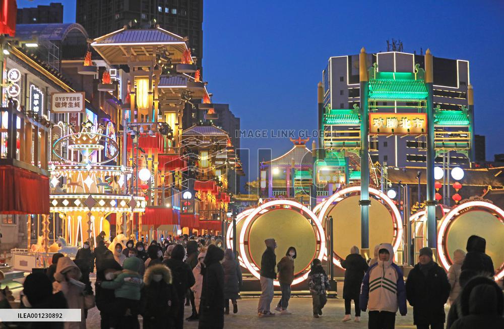 CHINA-LIAONING-SHENYANG-SPRING FESTIVAL-FAIR (CN)
