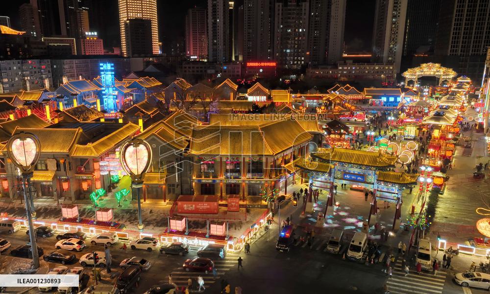 CHINA-LIAONING-SHENYANG-SPRING FESTIVAL-FAIR (CN)