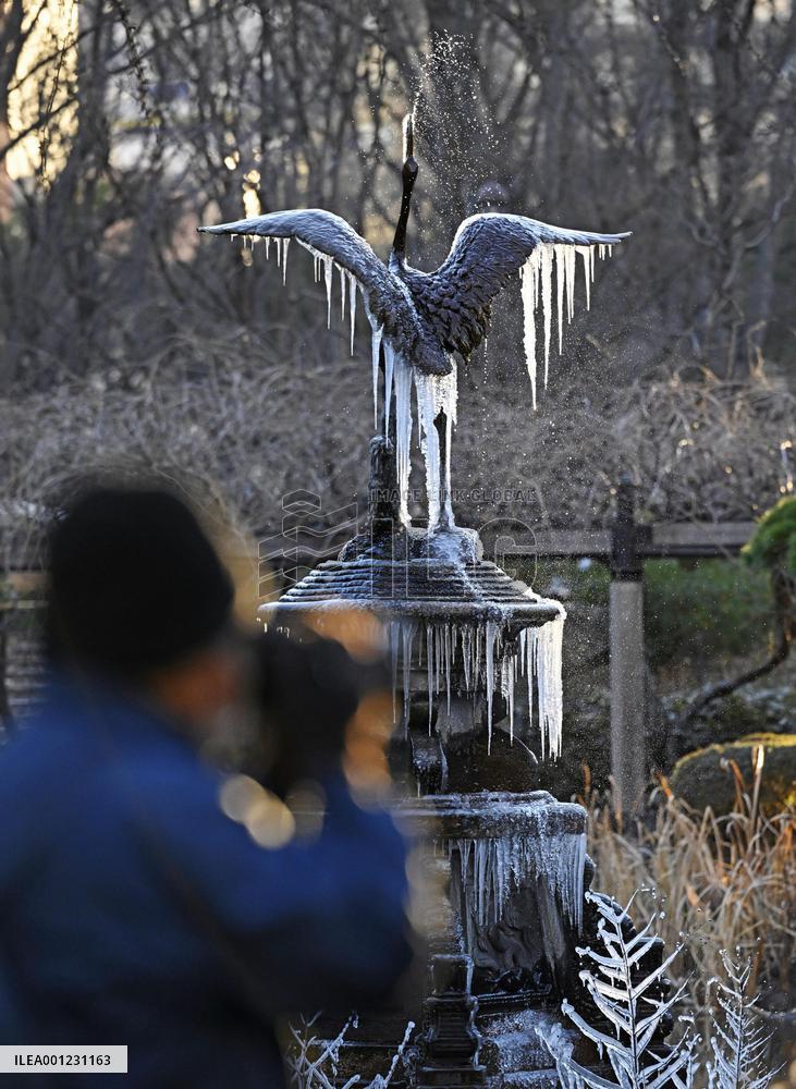 Cold snap hits Tokyo