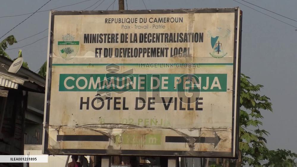 Cameroon farmers spice up their lives with pepper production