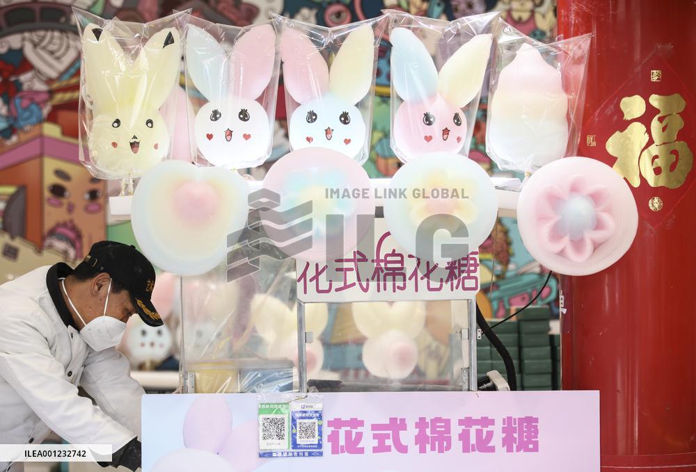 CHINA-BEIJING-SPRING FESTIVAL HOLIDAY (CN)