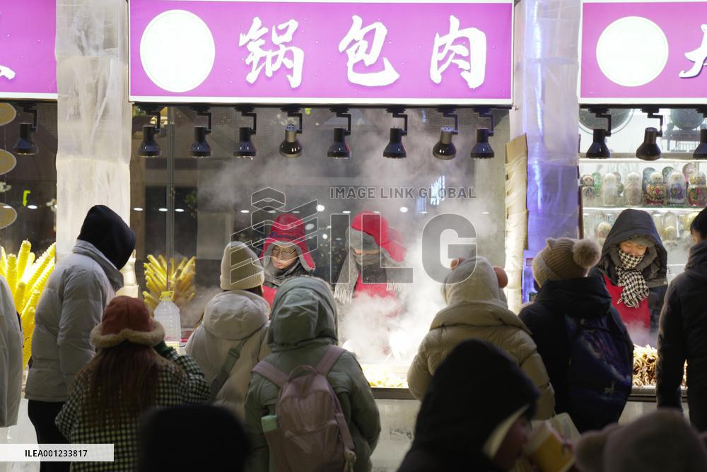 CHINA-HEILONGJIANG-HARBIN-ICE-MADE BOOTHS (CN)